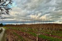 Farm Property for sale in Hood River County, Oregon