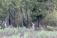 Property for sale in Hamilton County, Texas