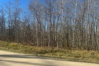 Undeveloped Land for sale in Beltrami County, Minnesota
