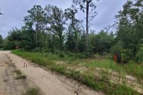 Undeveloped Land for sale in Levy County, Florida
