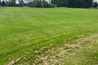 Undeveloped Land for sale in Tuscola County, Michigan