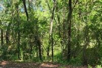 Property for sale in Henderson County, Texas
