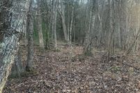 Lakefront Property for sale in Bland County, Virginia