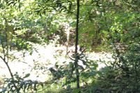 Property for sale in Santa Cruz County, California