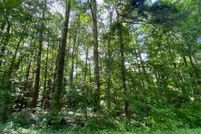 Undeveloped Land for sale in Lee County, North Carolina