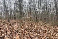 Undeveloped Land for sale in Scioto County, Ohio