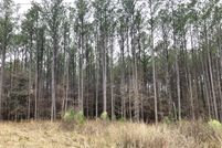 Property for sale in Yalobusha County, Mississippi