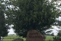 Undeveloped Land for sale in Saline County, Illinois