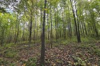 Property for sale in Massac County, Illinois