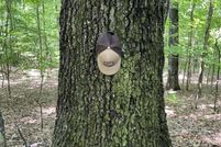 Property for sale in Monroe County, Mississippi