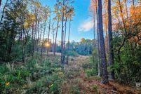 Property for sale in Baldwin County, Alabama