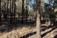 Property for sale in Navajo County, Arizona