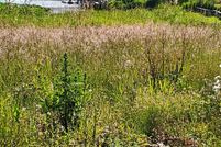 Property for sale in Lincoln County, Oregon