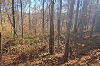 Property for sale in Lawrence County, Kentucky