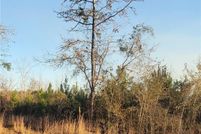 Property for sale in Macon County, Alabama