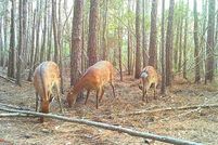 Residential Property for sale in Dorchester County, Maryland