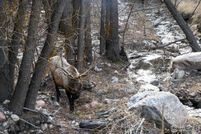 Lakefront Property for sale in Larimer County, Colorado