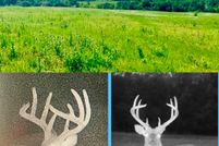 Property for sale in Taney County, Missouri