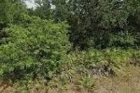 Property for sale in Lee County, Florida