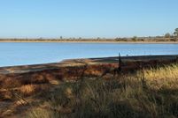 Undeveloped Land for sale in Nacogdoches County, Texas