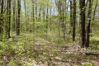 Property for sale in Otsego County, Michigan