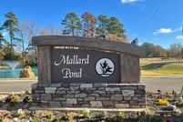 Undeveloped Land for sale in Bowie County, Texas