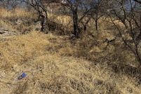 Property for sale in Santa Cruz County, Arizona