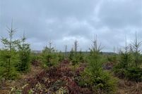 Property for sale in Lewis County, Washington