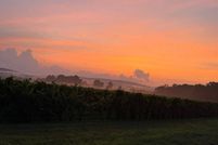 Undeveloped Land for sale in Hampshire County, Massachusetts