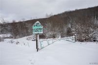 Undeveloped Land for sale in Cattaraugus County, New York