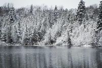 Undeveloped Land for sale in Luce County, Michigan