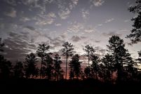 Property for sale in Houston County, Georgia