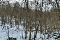 Property for sale in Pocahontas County, West Virginia