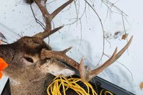 Undeveloped Land for sale in Crawford County, Wisconsin