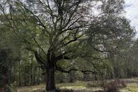 Property for sale in Bradford County, Florida