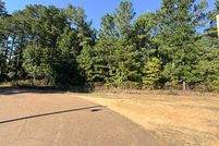 Undeveloped Land for sale in Ouachita County, Arkansas