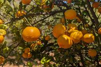 Property for sale in Riverside County, California