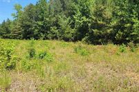 Undeveloped Land for sale in Harrison County, Texas