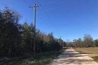 Undeveloped Land for sale in Wilcox County, Georgia