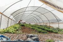 Undeveloped Land for sale in Mesa County, Colorado