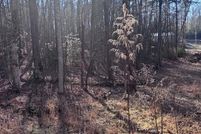 Property for sale in Fannin County, Georgia