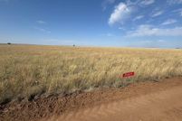 Undeveloped Land for sale in Hartley County, Texas