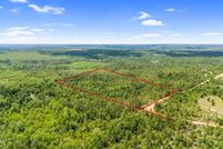 Undeveloped Land for sale in Washington County, Florida