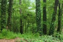 Property for sale in Cobb County, Georgia