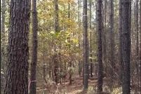Undeveloped Land for sale in Monroe County, Georgia