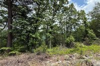 Undeveloped Land for sale in Chattooga County, Georgia