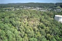 Undeveloped Land for sale in Bartow County, Georgia