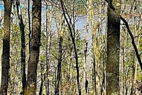 Property for sale in Murray County, Georgia