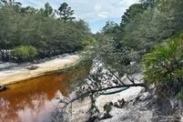 Lakefront Property for sale in Charlton County, Georgia