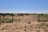 Property for sale in Navajo County, Arizona